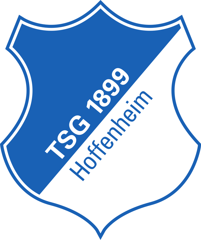 TSG 1899 Hoffenheim DE